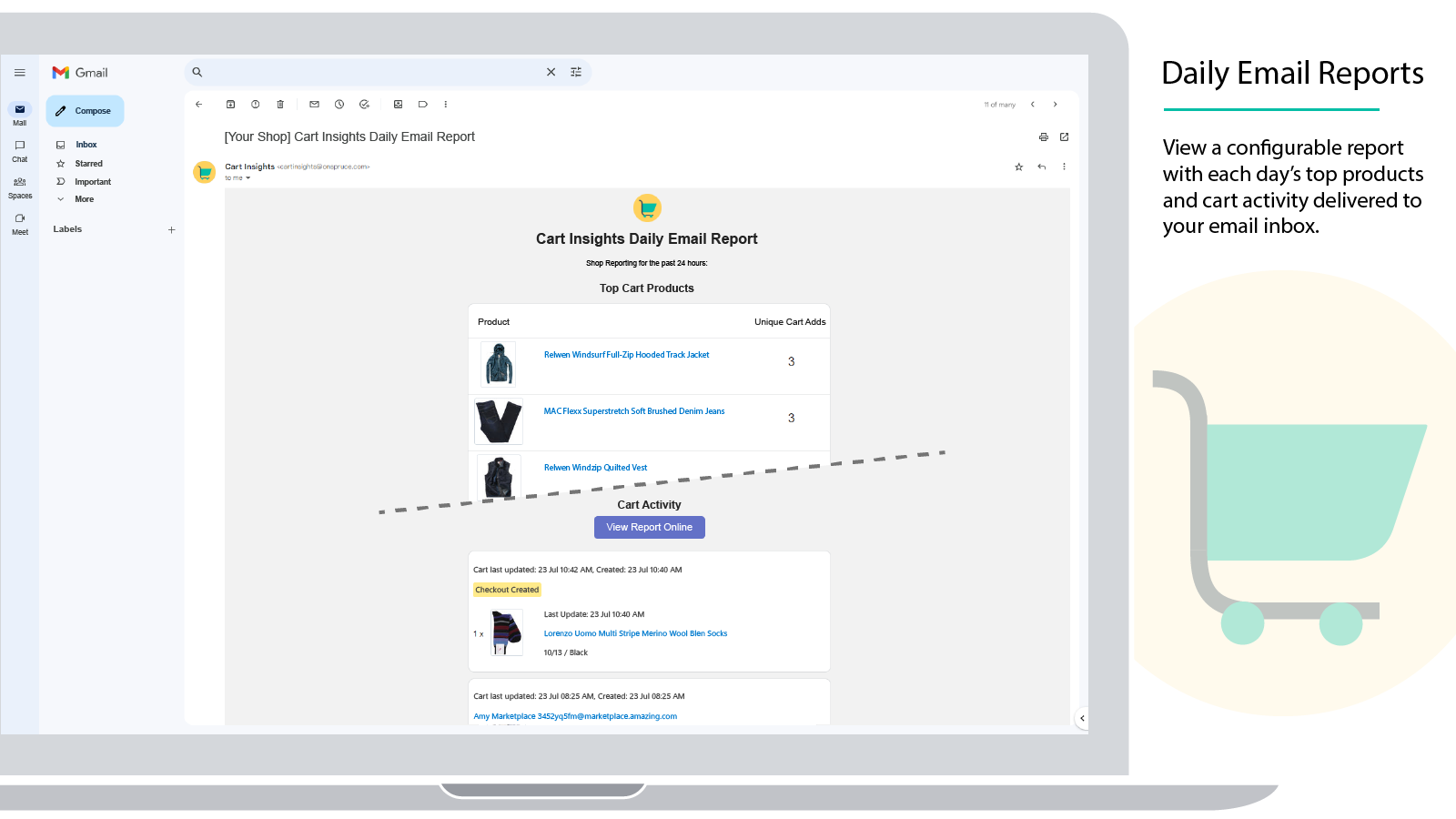Email reports
